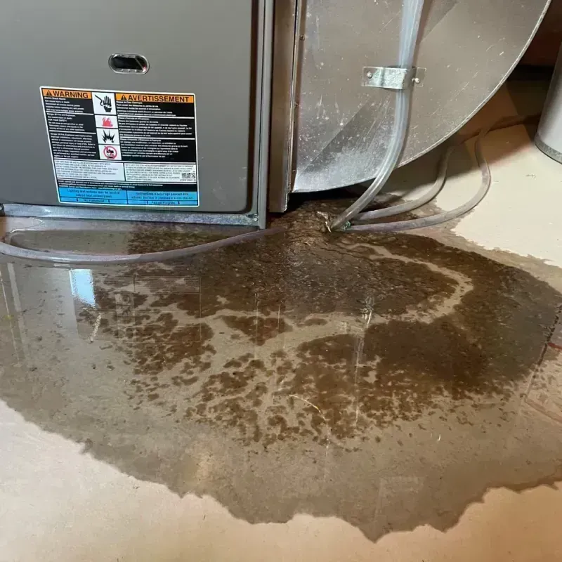 Appliance Leak Cleanup in Wendover, UT